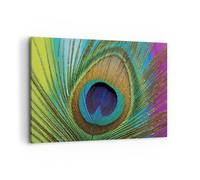 Cuadro Sobre Lienzo 100x70cm Cuadros Pared Pavos Reales Pluma Arco Iris Wall Art