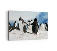 Cuadro Sobre Lienzo 100x70cm Cuadros Pared Pingüinos Invierno naturaleza nieve