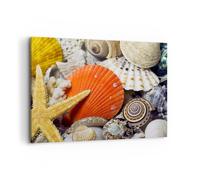 Cuadro Sobre Lienzo 100x70cm Cuadros Pared Seashell mar playa arena Wall Art
