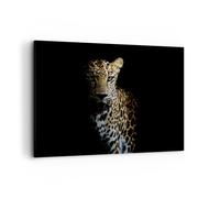 ARTTOR Cuadro Decorativo 100x70cm Moderno Horizontal África Animales - 4585