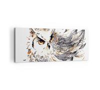 Cuadro Sobre Lienzo 120x50cm Cuadros Búho plumas la sabiduría la naturaleza