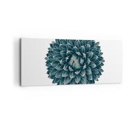 Cuadro Sobre Lienzo 120x50cm Cuadros Pared Agave Reina Victoria Wall Art Prints