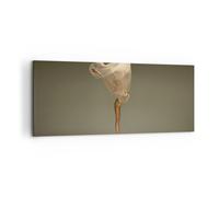 Cuadro Sobre Lienzo 120x50cm Cuadros Pared Bailarina Figura Bailando Wall Art