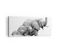Cuadro Sobre Lienzo 120x50cm Cuadros Pared Elefantes Familia Blanco Y Negro Art