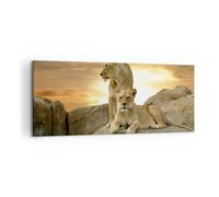Cuadro Sobre Lienzo 120x50cm Cuadros Pared Leones puesta de sol rocas garras Art