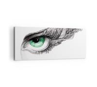 Cuadro Sobre Lienzo 120x50cm Cuadros Pared Ojo pluma bosquejo humana Wall Art