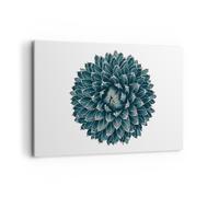 Cuadro Sobre Lienzo 120x80cm Cuadros Pared Agave Reina Victoria Wall Art Prints