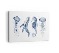 Cuadro Sobre Lienzo 120x80cm Cuadros Pared Animales Marinos Infantiles Wall Art
