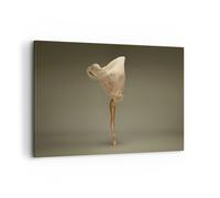 Cuadro Sobre Lienzo 120x80cm Cuadros Pared Bailarina Figura Bailando Wall Art