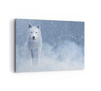 Cuadro Sobre Lienzo 120x80cm Cuadros Pared Blanco lobo nieve Wall Art Prints