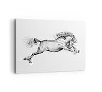 Cuadro Sobre Lienzo 120x80cm Cuadros Pared Caballo Dibujo Lápiz Wall Art Prints