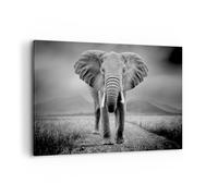 Cuadro Sobre Lienzo 120x80cm Cuadros Pared Elefante Salvaje Naturaleza Wall Art