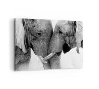 Lienzo Decorativo 120x80cm Moderno Horizontal África Blanco y Negro - 4973