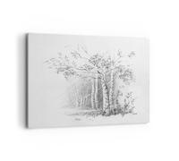 Cuadro Sobre Lienzo 120x80cm Cuadros Pared Esbozo Bosque Abedul Wall Art Prints