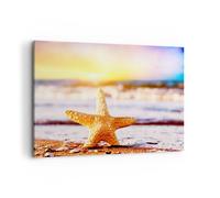 Cuadro Sobre Lienzo 120x80cm Cuadros Pared Estrellas de mar playa arena océano