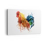 Cuadro Sobre Lienzo 120x80cm Cuadros Pared Gallo Ilustration Animal colores Art
