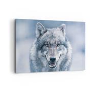 Cuadro Sobre Lienzo 120x80cm Cuadros Pared lobo depredador salvajismo Wall Art