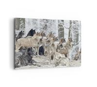 Cuadro Sobre Lienzo 120x80cm Cuadros Pared Manada Lobos Invierno Wall Art Prints