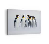 Cuadro Sobre Lienzo 120x80cm Cuadros Pared Pingüinos invierno nieve a pie Art
