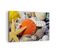 Cuadro Sobre Lienzo 120x80cm Cuadros Pared Seashell mar playa arena Wall Art