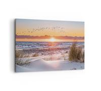 Cuadro Sobre Lienzo 120x80cm Cuadros Pared Sol Playa Aves Wall Art Prints Decor