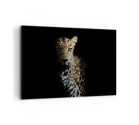 Cuadros Decoracion Salon Sombra Leopardo Pantera Lienzos decorativos 120x80cm Cuadro Sobre Lienzo Moderno Dormitorio Cocina Cuadros Pared Imágenes Wall Art Prints Decor Grande XXL AA120x80-4585