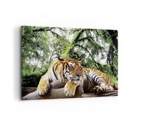 Cuadro Sobre Lienzo 120x80cm Cuadros Pared Tigre Selva Descanso Wall Art Prints