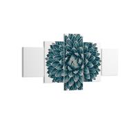 Cuadro Sobre Lienzo 125x70cm Cuadros Pared Agave Reina Victoria Wall Art Prints