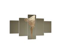 Cuadro Sobre Lienzo 125x70cm Cuadros Pared Bailarina Figura Bailando Wall Art