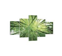 Cuadro Sobre Lienzo 125x70cm Cuadros Pared Bambú Selva Verde Wall Art Prints
