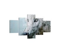 Cuadro Sobre Lienzo 125x70cm Cuadros Pared Blanco El Lobo Imagen Wall Art Prints