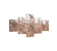 Cuadro Sobre Lienzo 125x70cm Cuadros Pared Caña Prado Boho Wall Art Prints Decor
