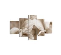 Cuadro Sobre Lienzo 125x70cm Cuadros Pared Flores Boho Sin Wall Art Prints Decor