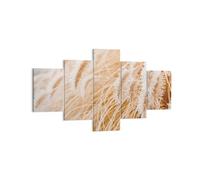 Cuadro Sobre Lienzo 125x70cm Cuadros Pared Hierba Boho Luz Wall Art Prints Decor