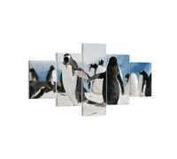 Cuadro Sobre Lienzo 125x70cm Cuadros Pared Pingüinos Invierno naturaleza nieve