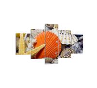 Cuadro Sobre Lienzo 125x70cm Cuadros Pared Seashell mar playa arena Wall Art