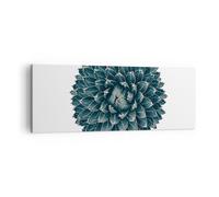 Cuadro Sobre Lienzo 140x50cm Cuadros Pared Agave Reina Victoria Wall Art Prints