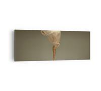 Cuadro Sobre Lienzo 140x50cm Cuadros Pared Bailarina Figura Bailando Wall Art