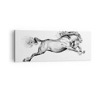 Cuadro Sobre Lienzo 140x50cm Cuadros Pared Caballo Dibujo Lápiz Wall Art Prints