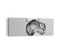 Cuadro Sobre Lienzo 140x50cm Cuadros Pared Chinchilla Mujer Retrato Wall Art