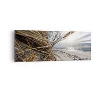 Cuadro Sobre Lienzo 140x50cm Cuadros Pared Costa Perspectiva Hierba Wall Art