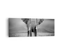 Cuadro Sobre Lienzo 140x50cm Cuadros Pared Elefante Salvaje Naturaleza Wall Art