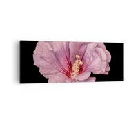 Cuadro Sobre Lienzo 140x50cm Cuadros Pared Hibisco Flor Rosa Wall Art Prints