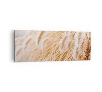 Cuadro Sobre Lienzo 140x50cm Cuadros Pared Hierba Boho Luz Wall Art Prints Decor