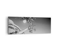 Cuadro Sobre Lienzo 140x50cm Cuadros Pared Llena La Luna Árbol Wall Art Prints