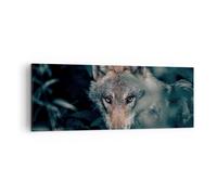 Cuadro Sobre Lienzo 140x50cm Cuadros Pared lobo bosque depredador Wall Art