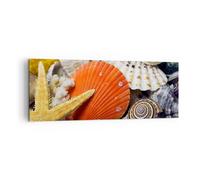 Cuadro Sobre Lienzo 140x50cm Cuadros Pared Seashell mar playa arena Wall Art