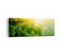 Cuadro Sobre Lienzo 140x50cm Cuadros Pared Trópicos árboles río Wall Art Prints
