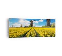 Cuadro Sobre Lienzo 140x50cm Cuadros Tulipanes molino de viento pradera paisaje