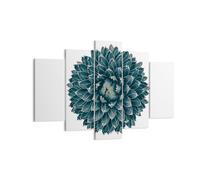 Cuadro Sobre Lienzo 150x100cm Cuadros Pared Agave Reina Victoria Wall Art Prints